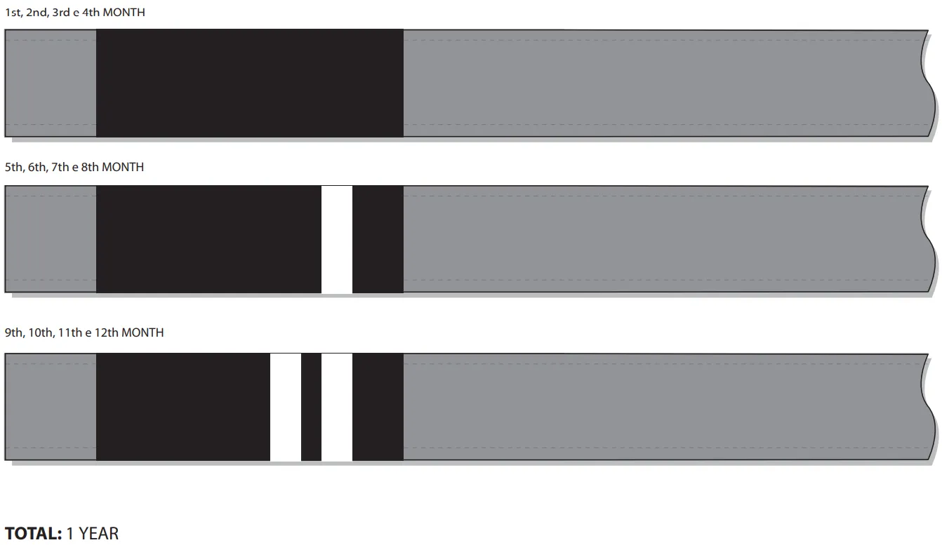 IBJJF triannual system belts