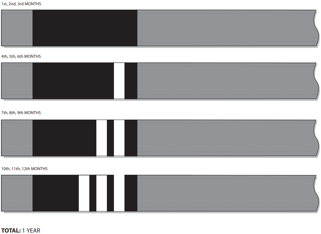 IBJJF quarterly system belts