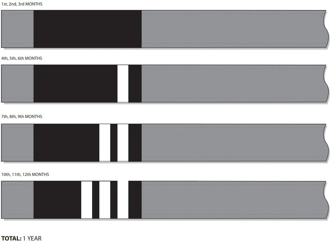 IBJJF quarterly system belts