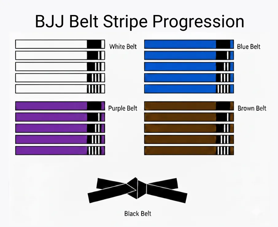 bjj belt stripe progression