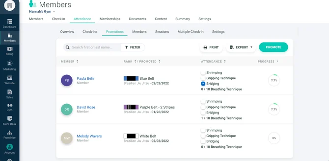 gymdesk belt stripe tracking