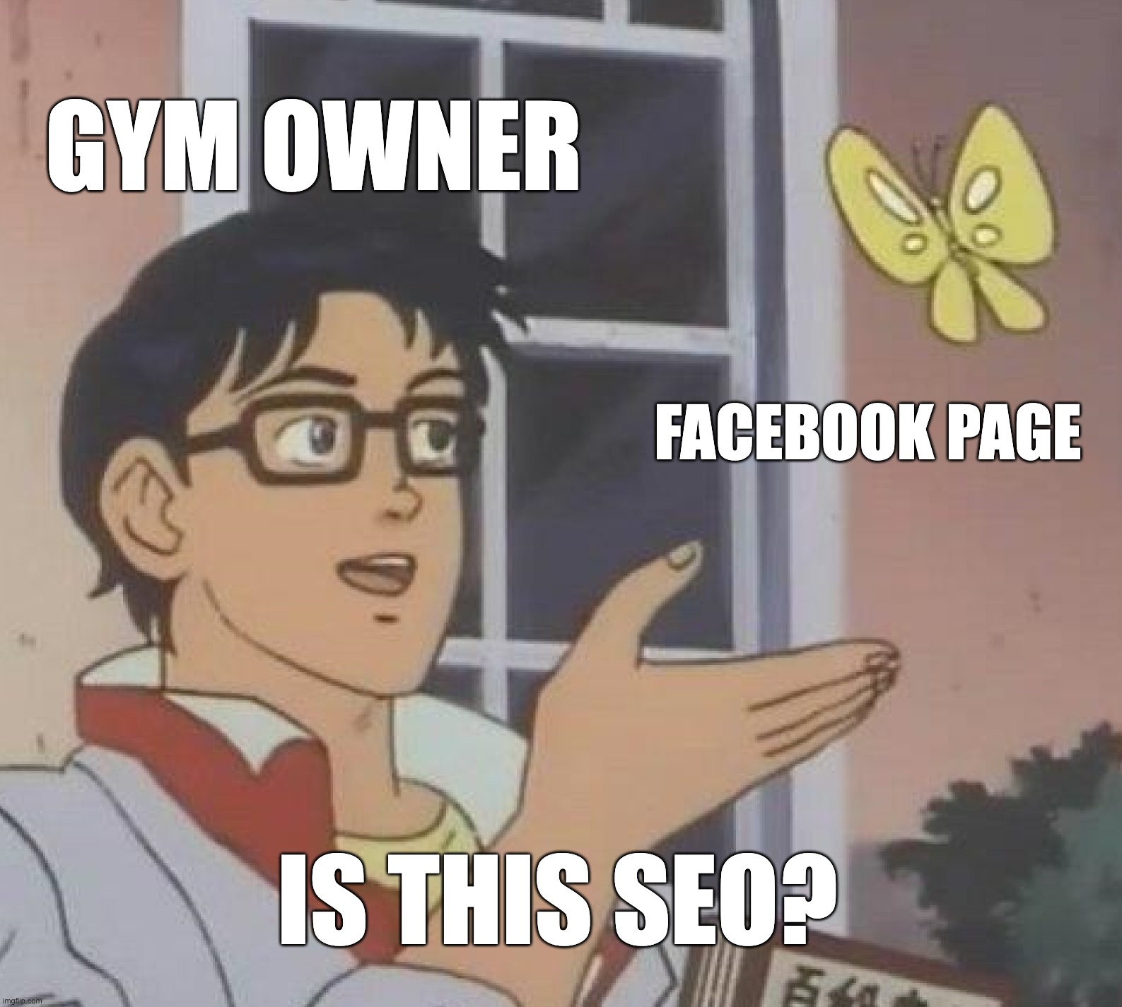is this a bird meme seo gyms