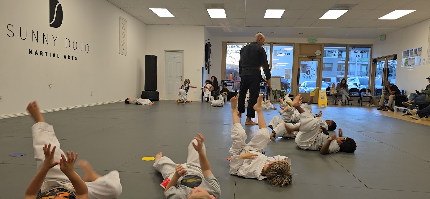 sunny dojo kids class