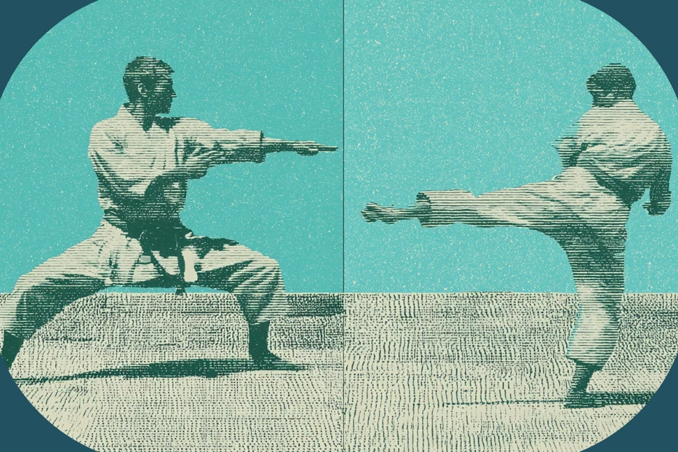 Shotokan vs Kyokushin karate comparison