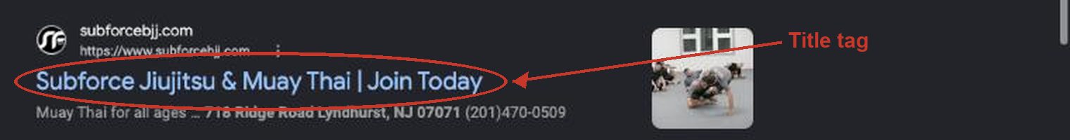 A Google result for Subforce Jiujitsu and Muay Thai with the blue headline circled and labeled Title tag