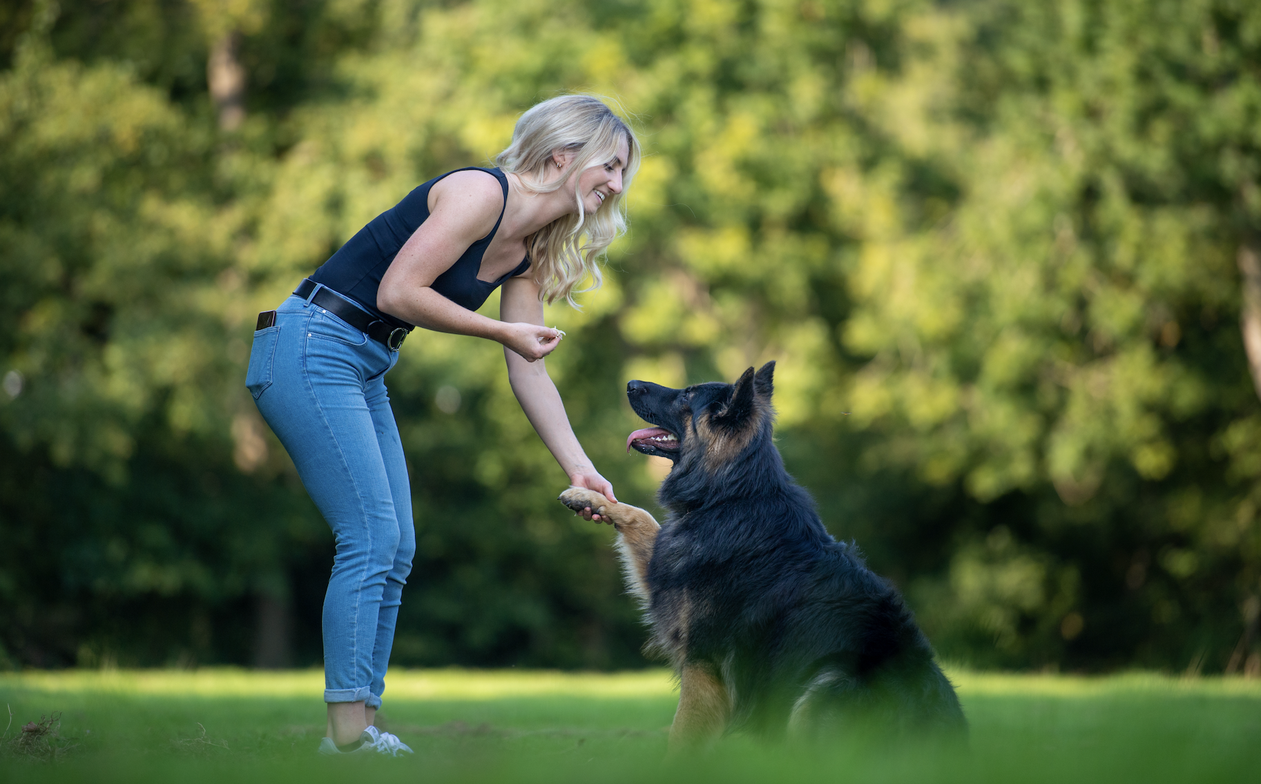 Citizen Canine founder Katie Butchers teaching a dog in a park.
