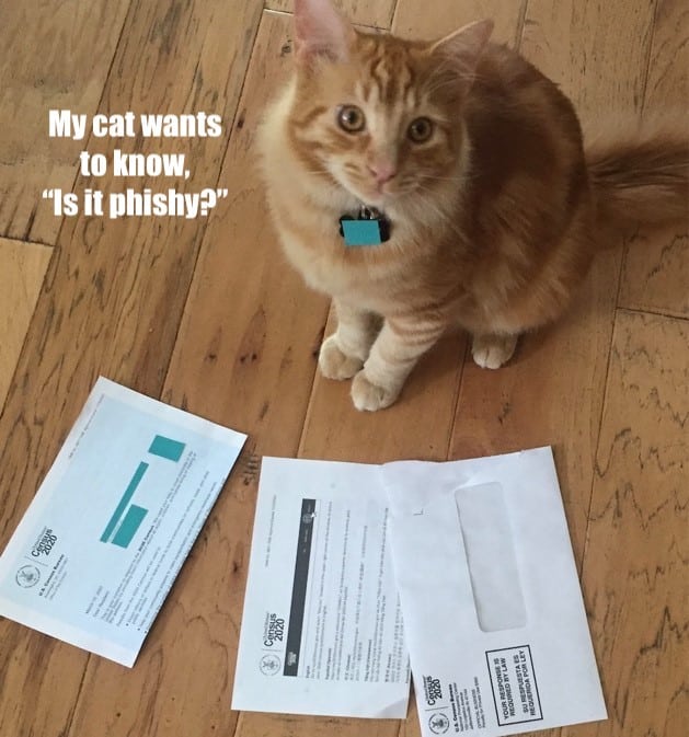 My cat wants to know, "Is it phishy?"
