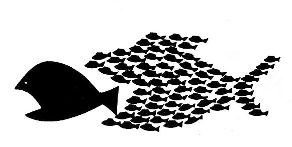 Ransomware is not a monolithic thing. It is a shape-shifter. It’s the big-fish-shaped school of small fish, each individually easy to dispatch, but collectively packing a big bite.