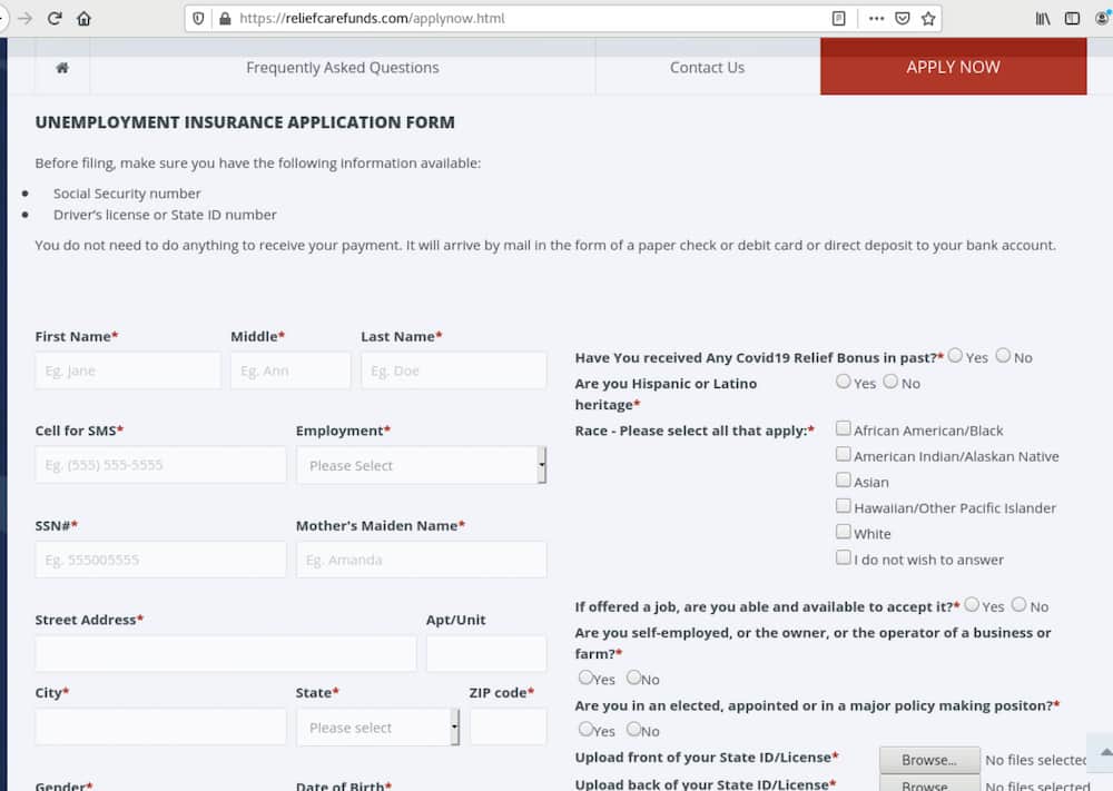 The initial domain found by DomainTools researchers contained the above application form with a typical upload to a PHP destination on the same domain.