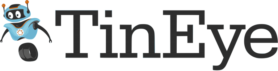 Reverse Image Search Blog Image 8