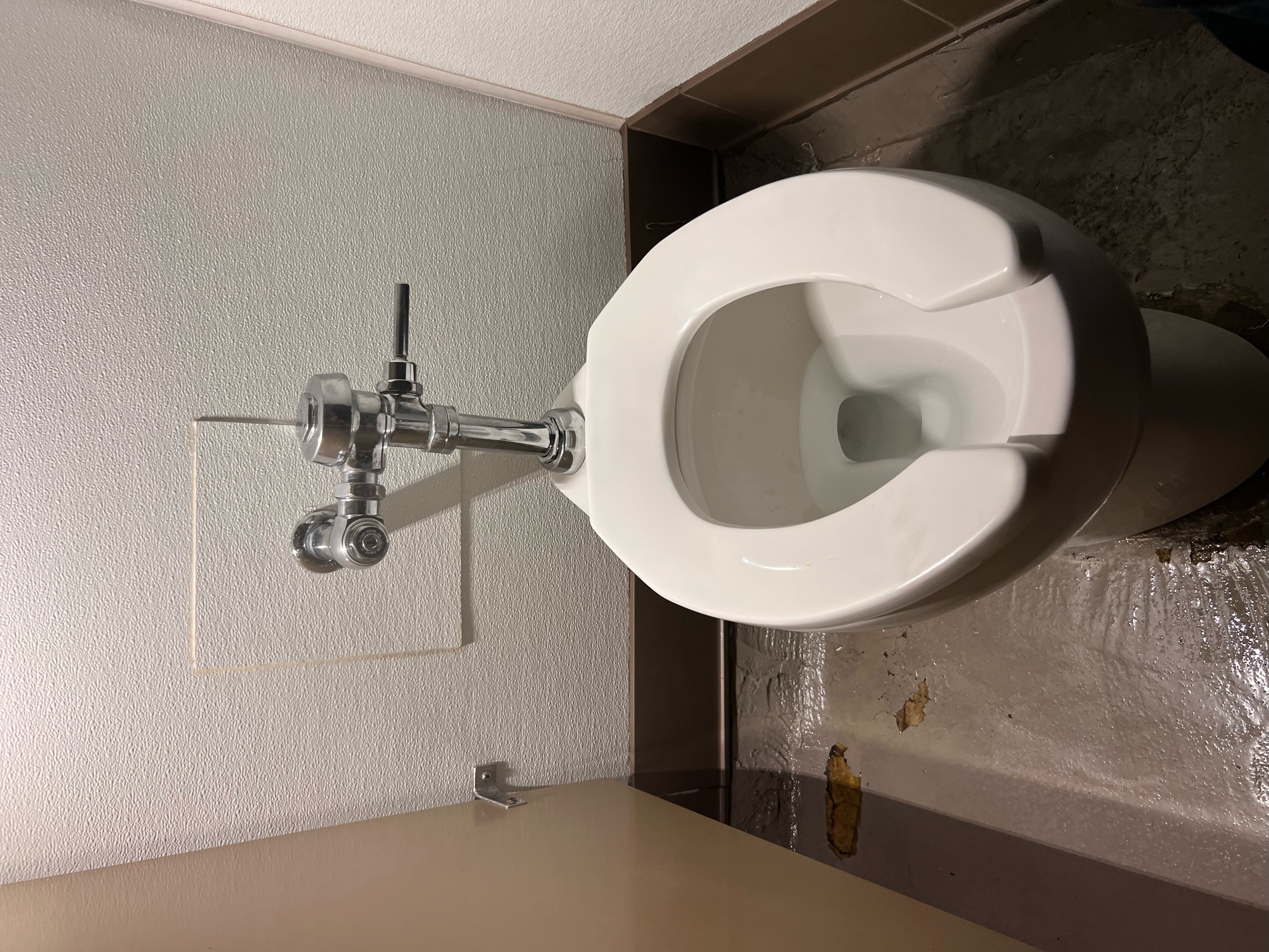 Toilet installation in residential bathroom