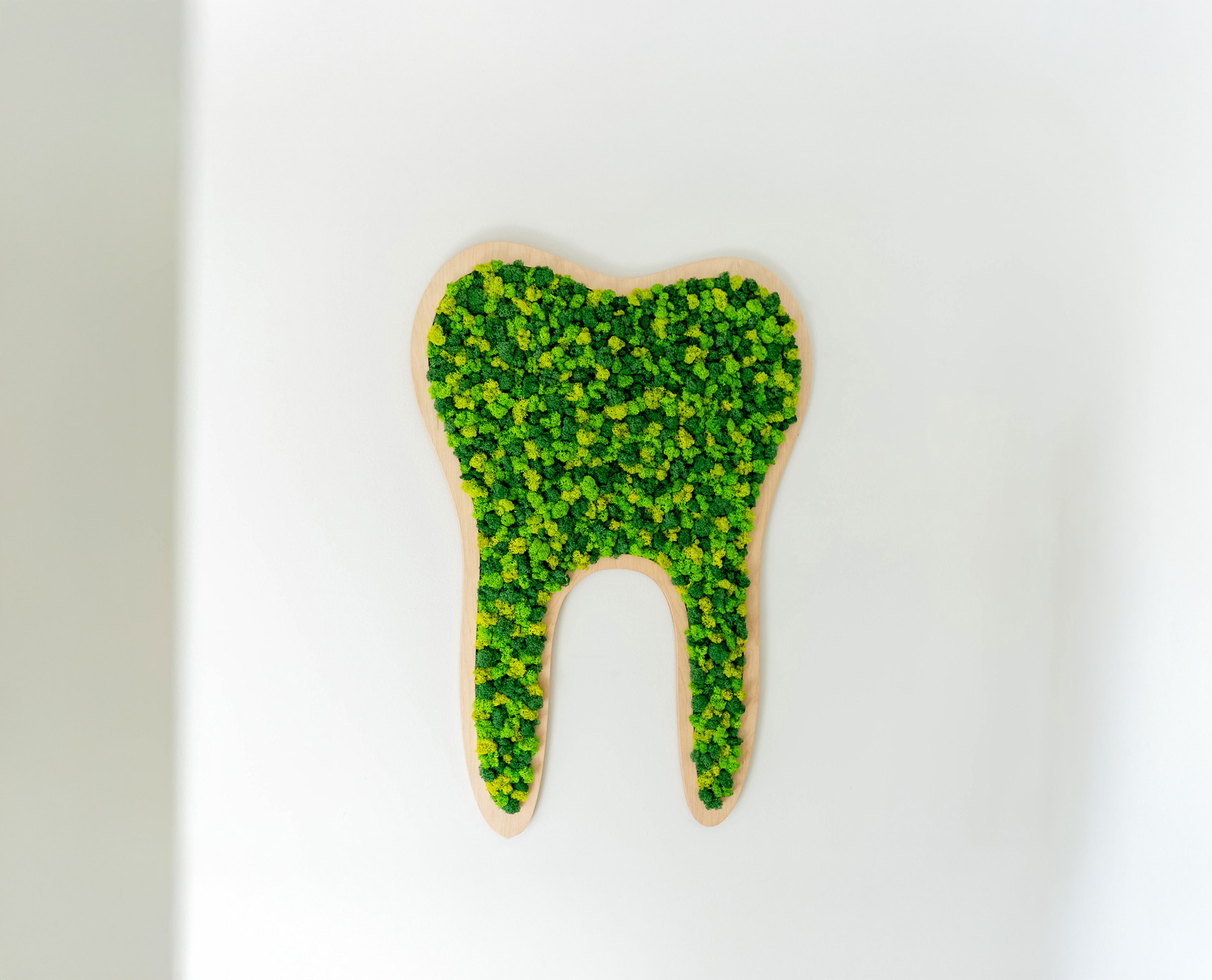 Wall decoration shaped like a tooth filled with green moss inside a wooden frame on a white wall.