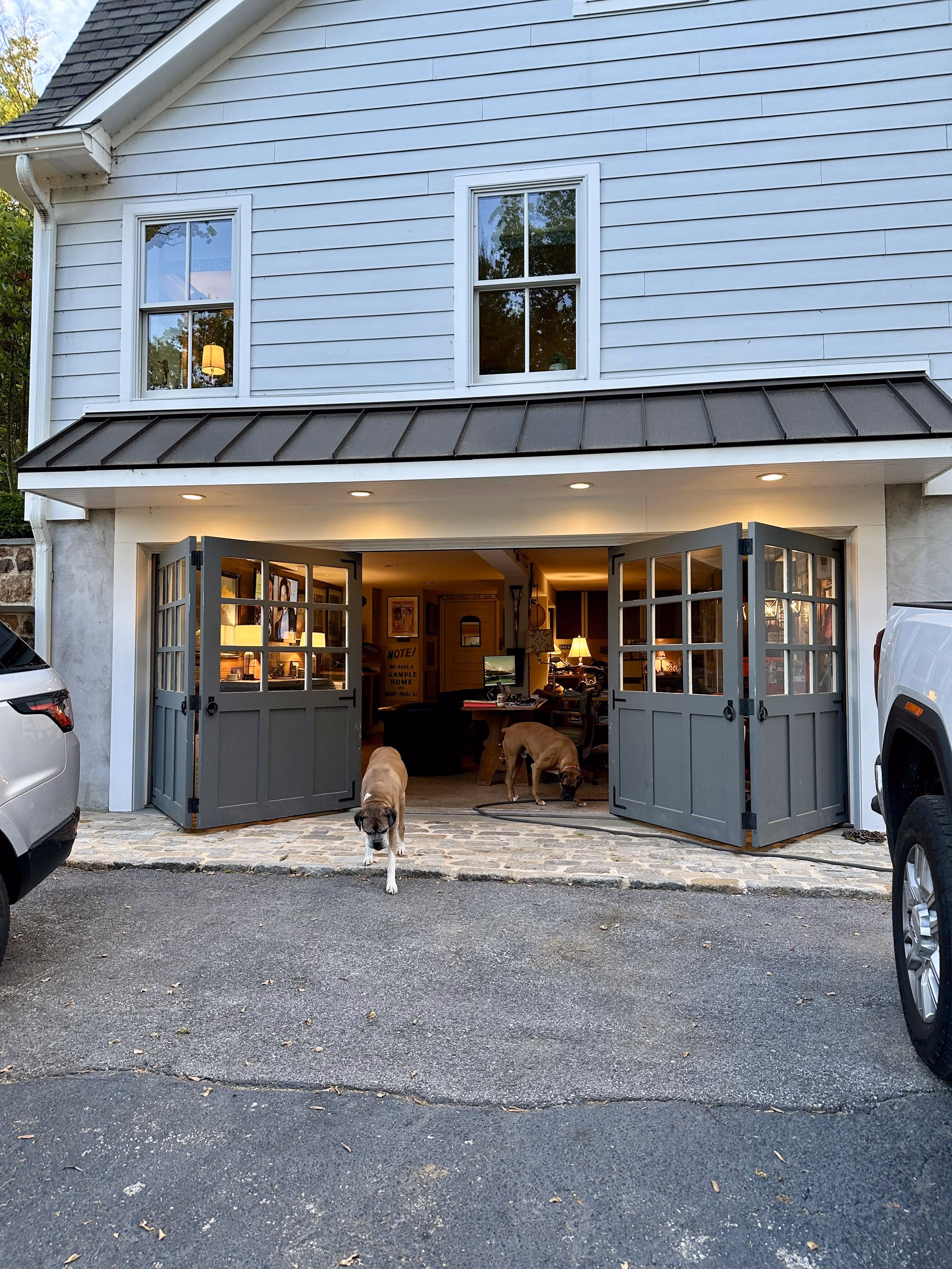 Two brown dogs in an open garage with gray double doors and white house exterior, flanked by parked cars.