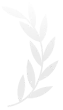 Simple white laurel branch icon with leaves on a transparent background.