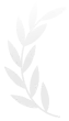 Simple white laurel branch icon with leaves on a transparent background.