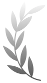 Simple white laurel branch icon with leaves on a transparent background.