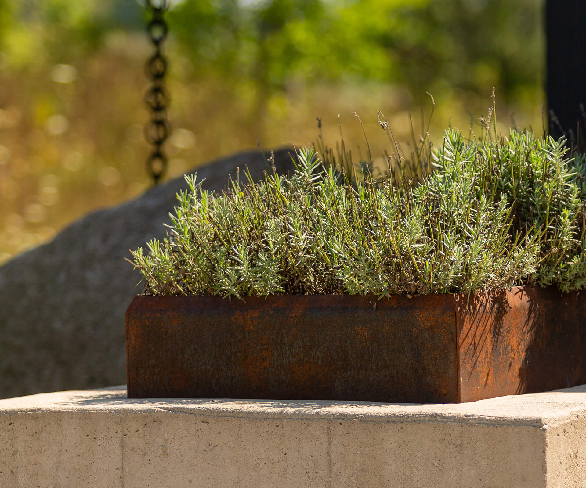 Rustic rectangular planter with green plants on a concrete surface outdoors in natural sunlight.