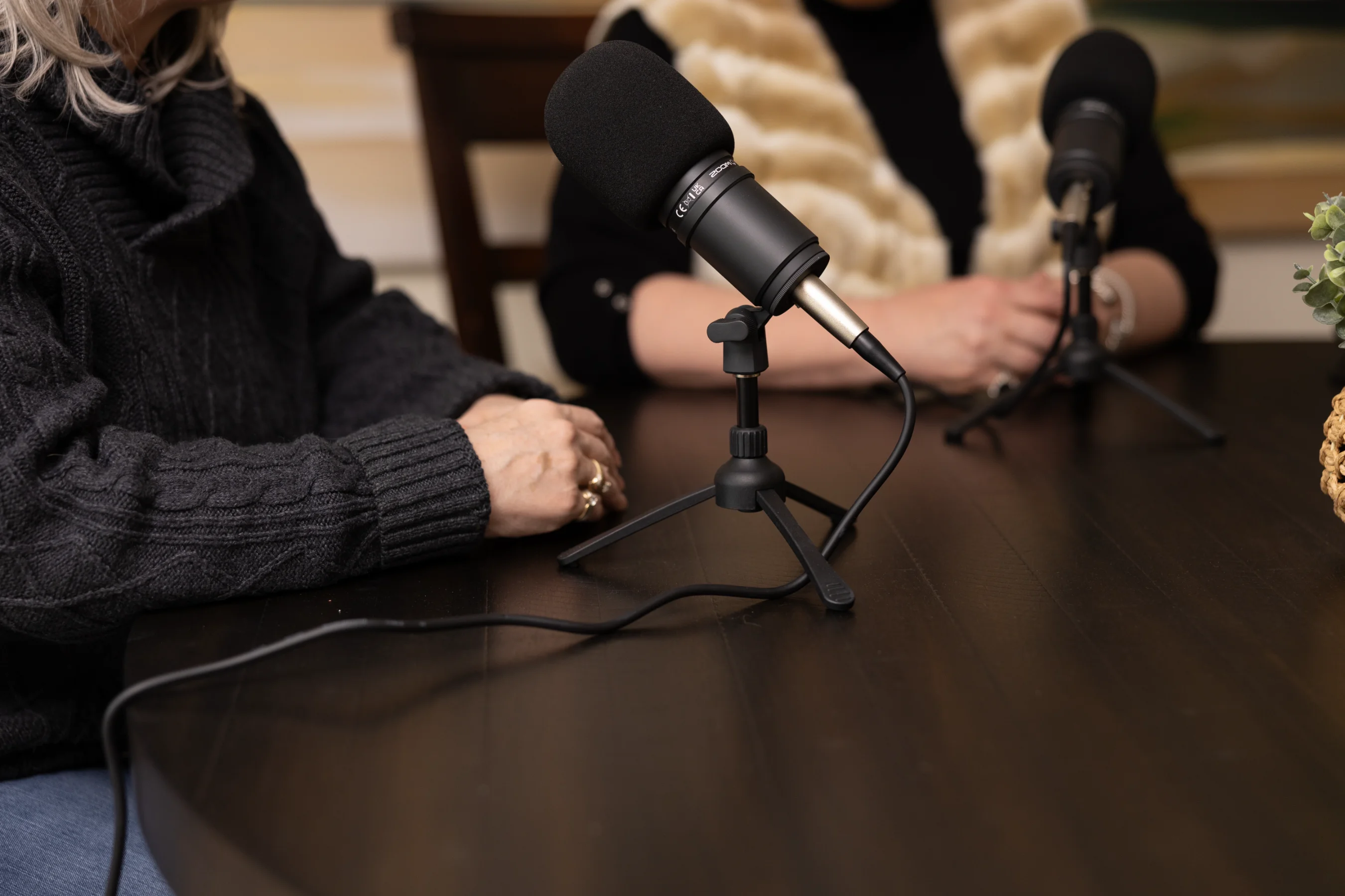 Two people sitting at a table with two microphones set up for recording or podcasting.