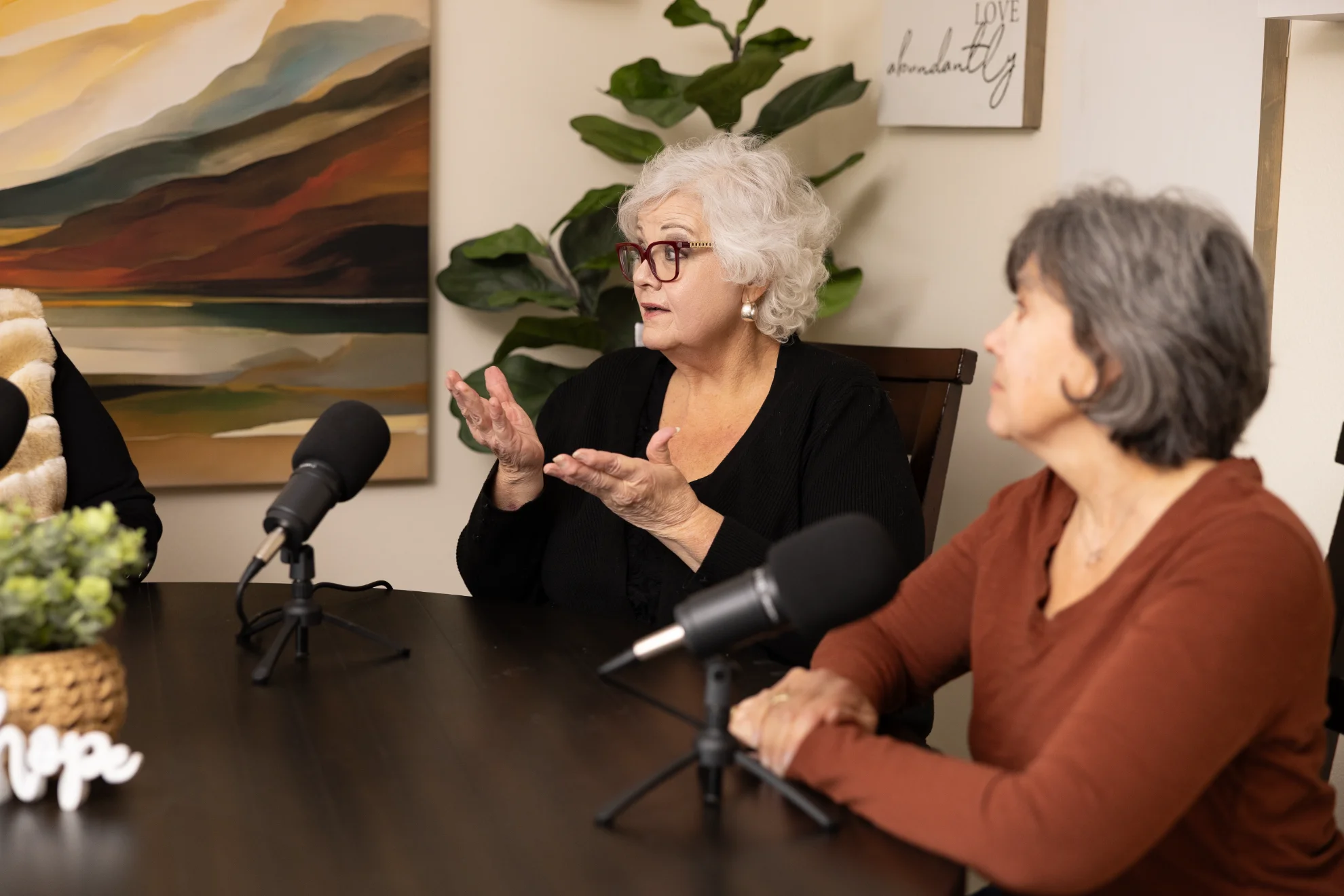 Two older women seated at a table with microphones, one woman with white hair and glasses speaking with hand gestures while the other listens attentively.