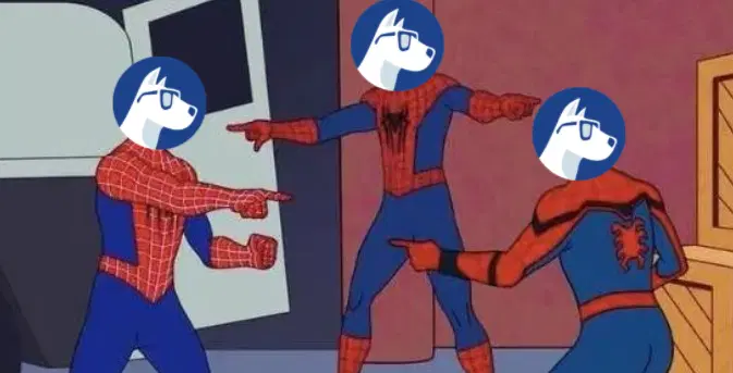 An Interview With Muttdata