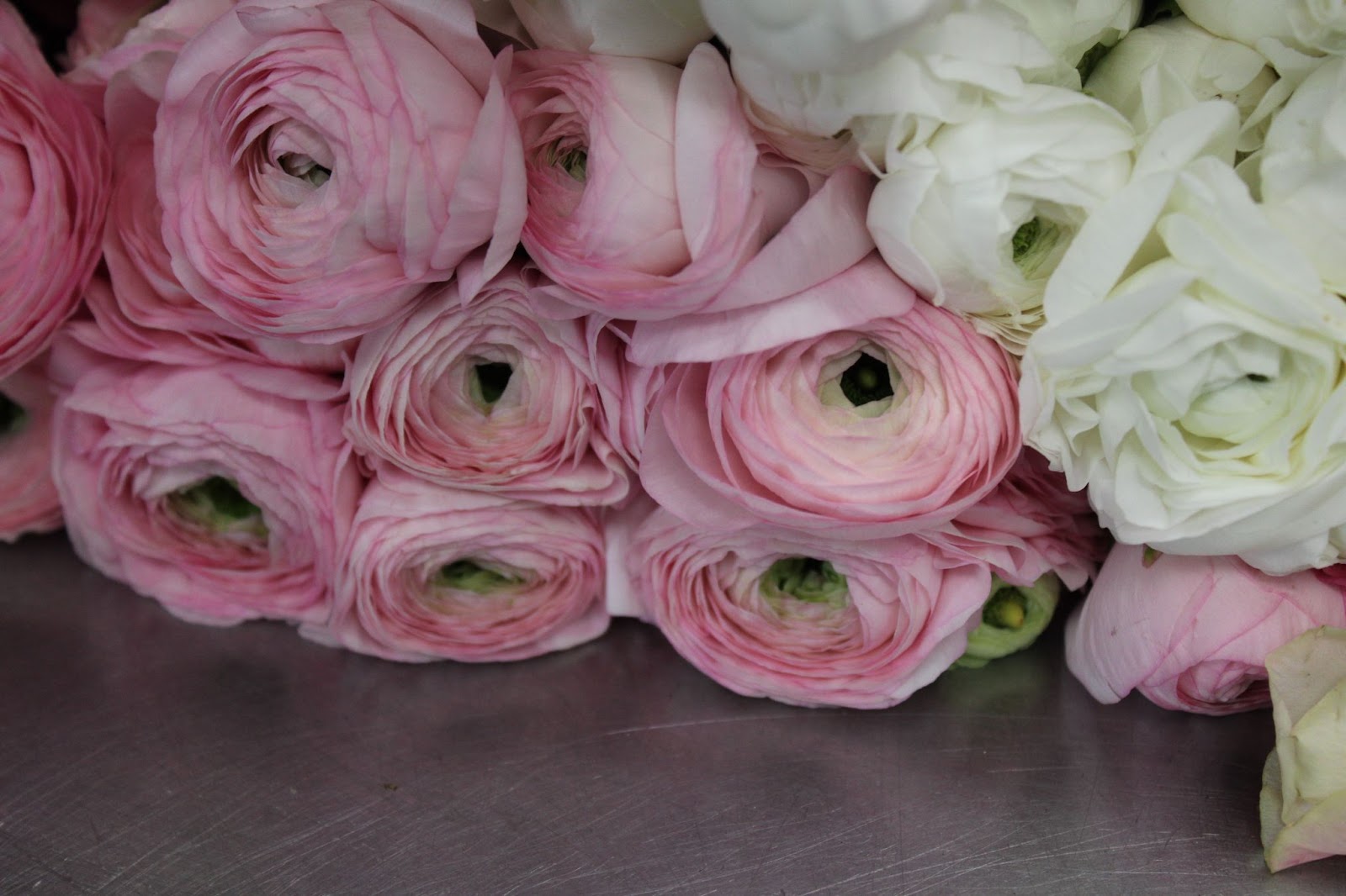 best flowers for weddings