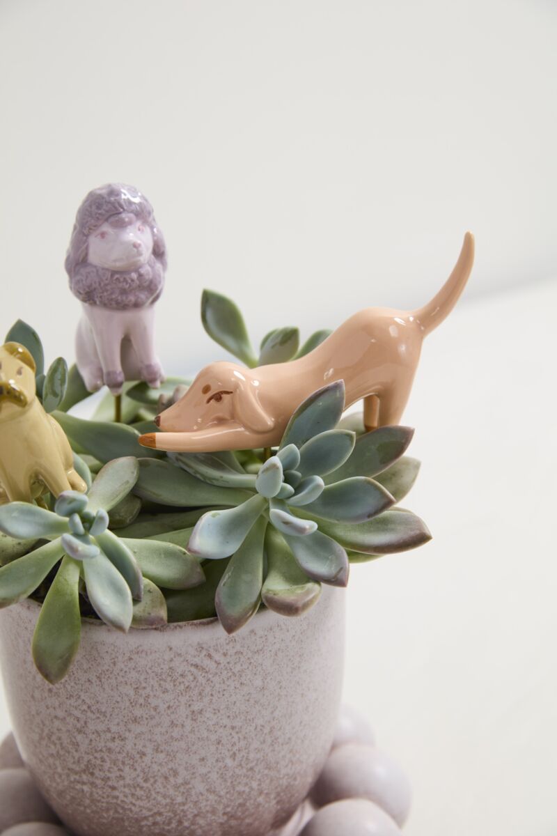 Various Ceramic Plant Sticks