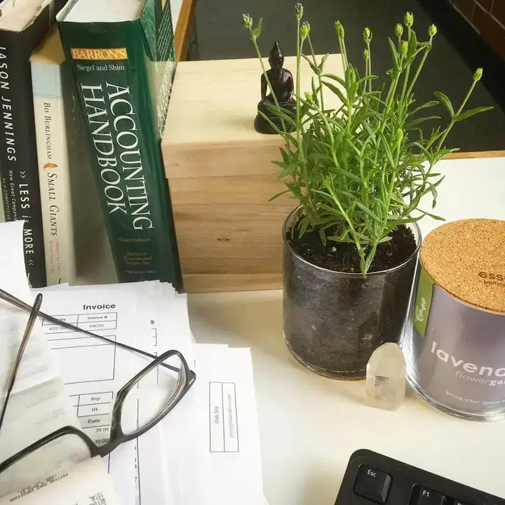 Lavender Flower Garden