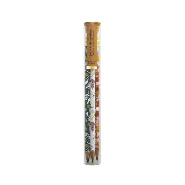 Pencil Terrarium, Set of 5 Pencils