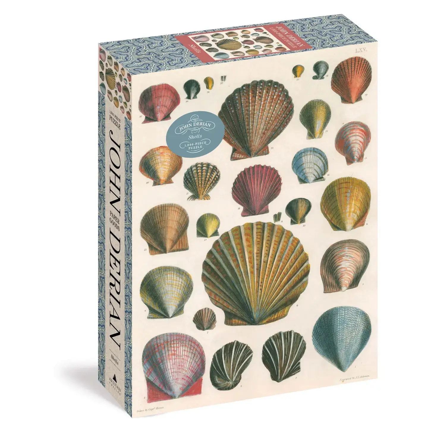 John Derian Shells 1,000-Piece Puzzle
