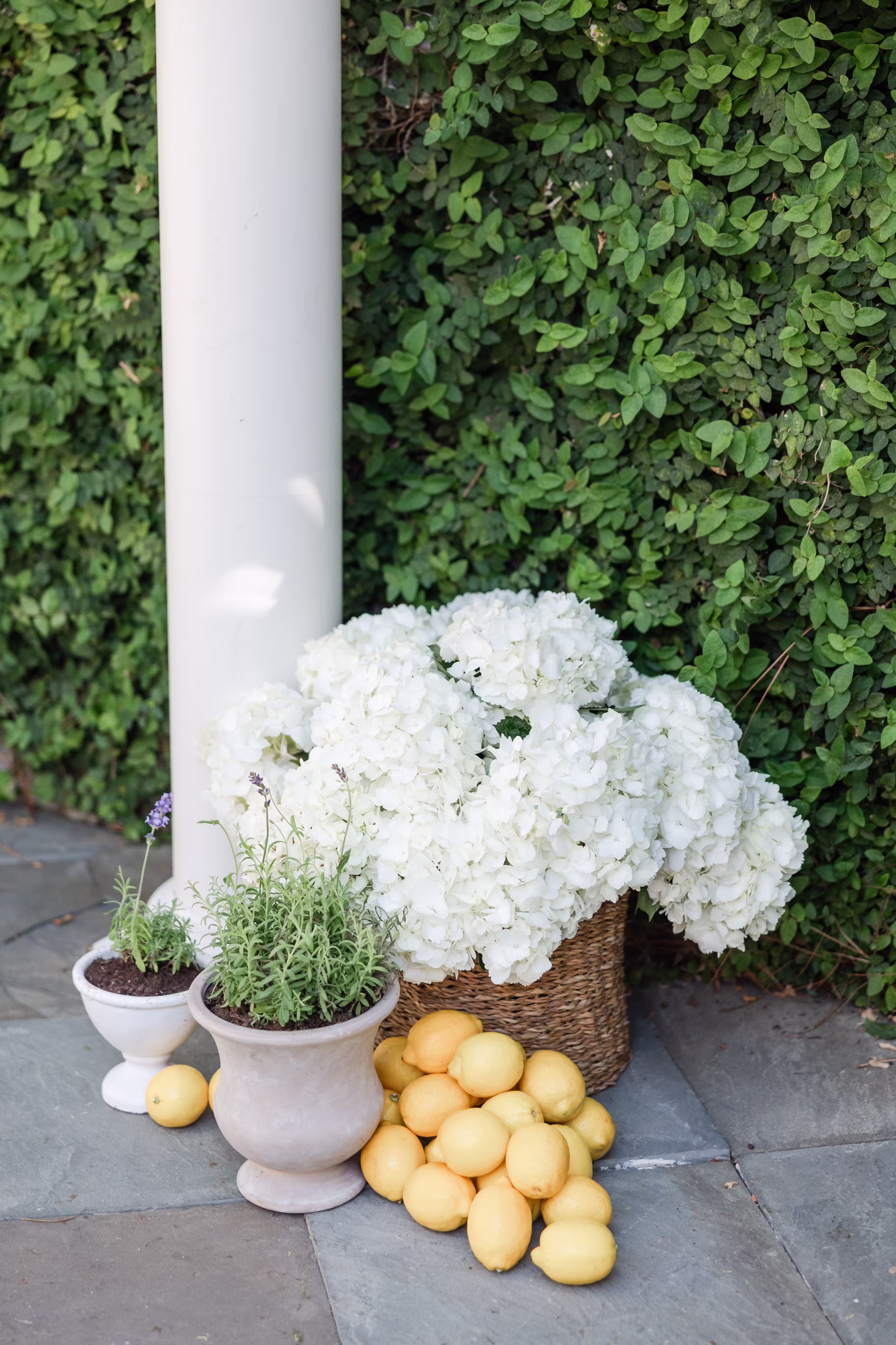 Summer at the Shop: What’s in Stock and How to Gift It Beautifully