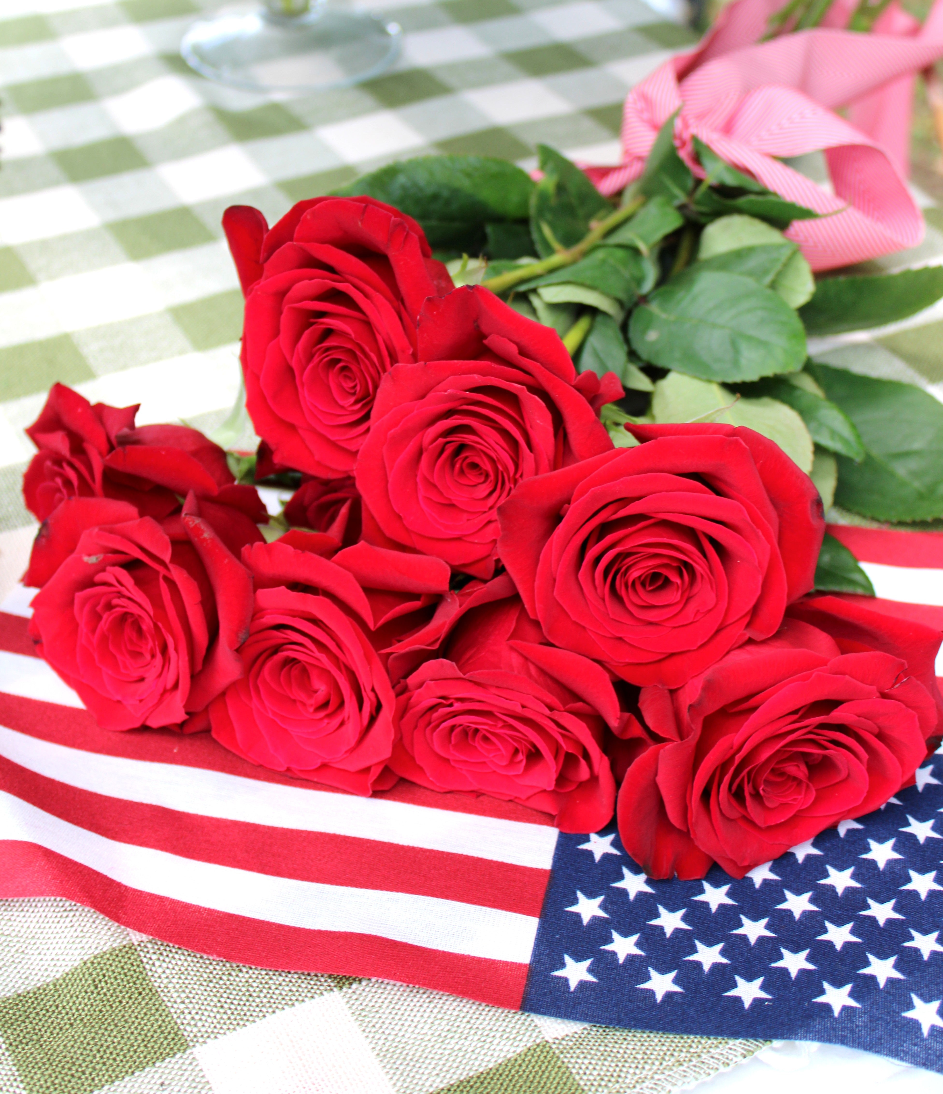 Freedom Roses – America 250 Celebration Special