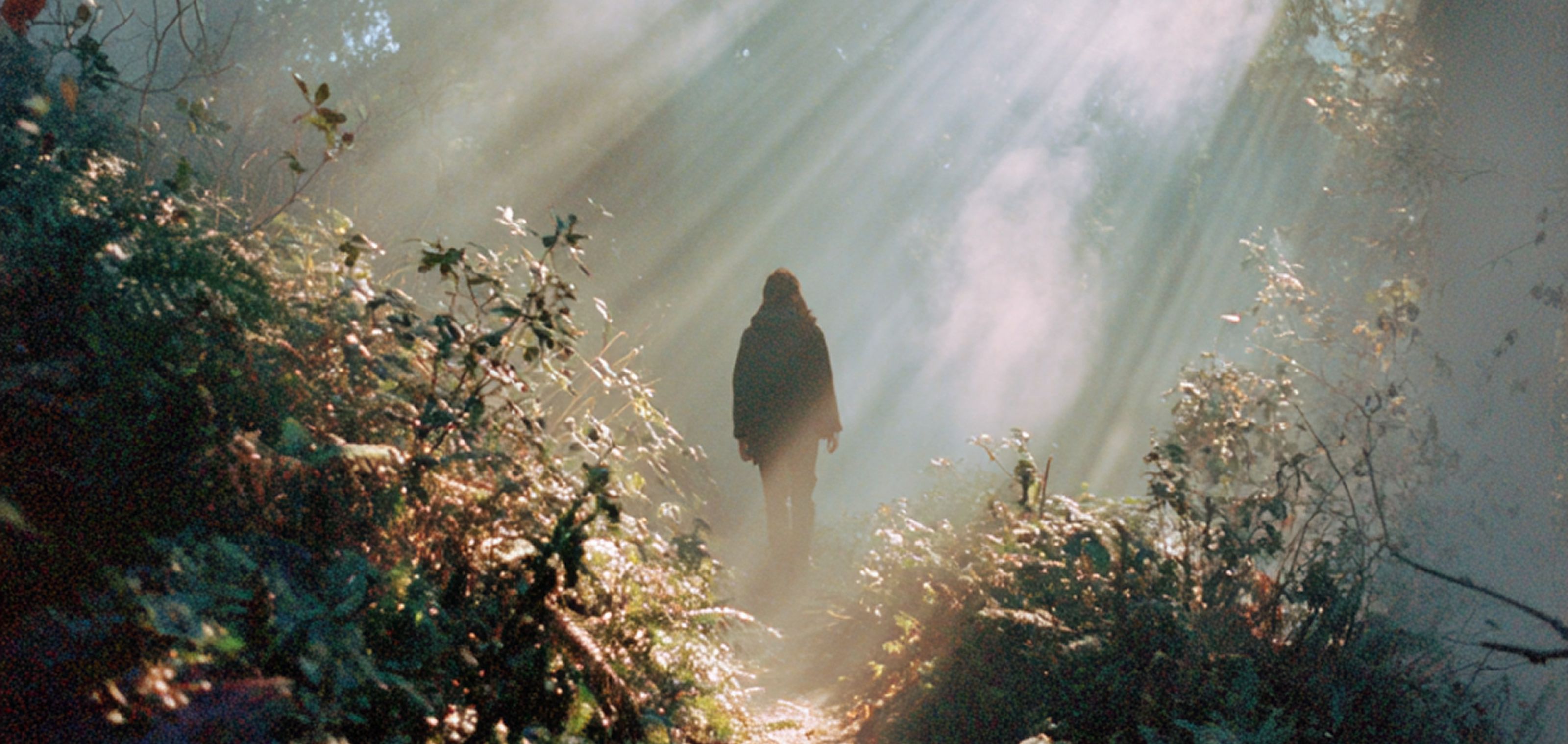 how to run effective virtual workshops