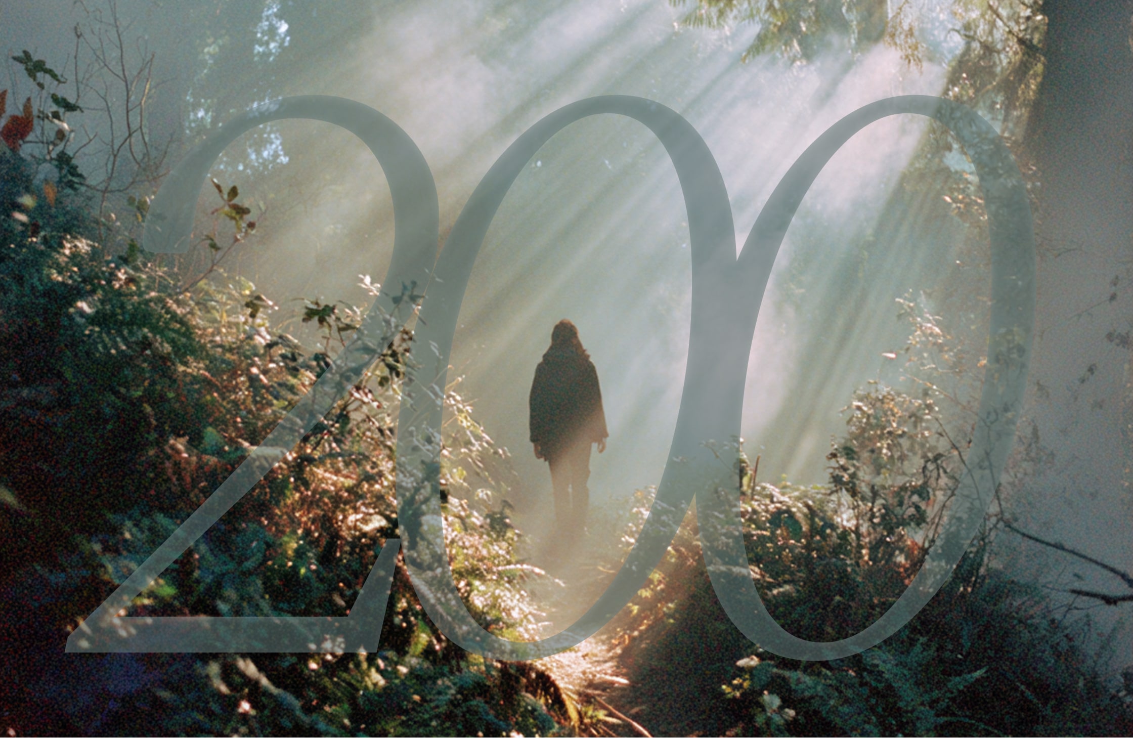 LeaderFactor Accountability leadership skill - Make Reality the Boss