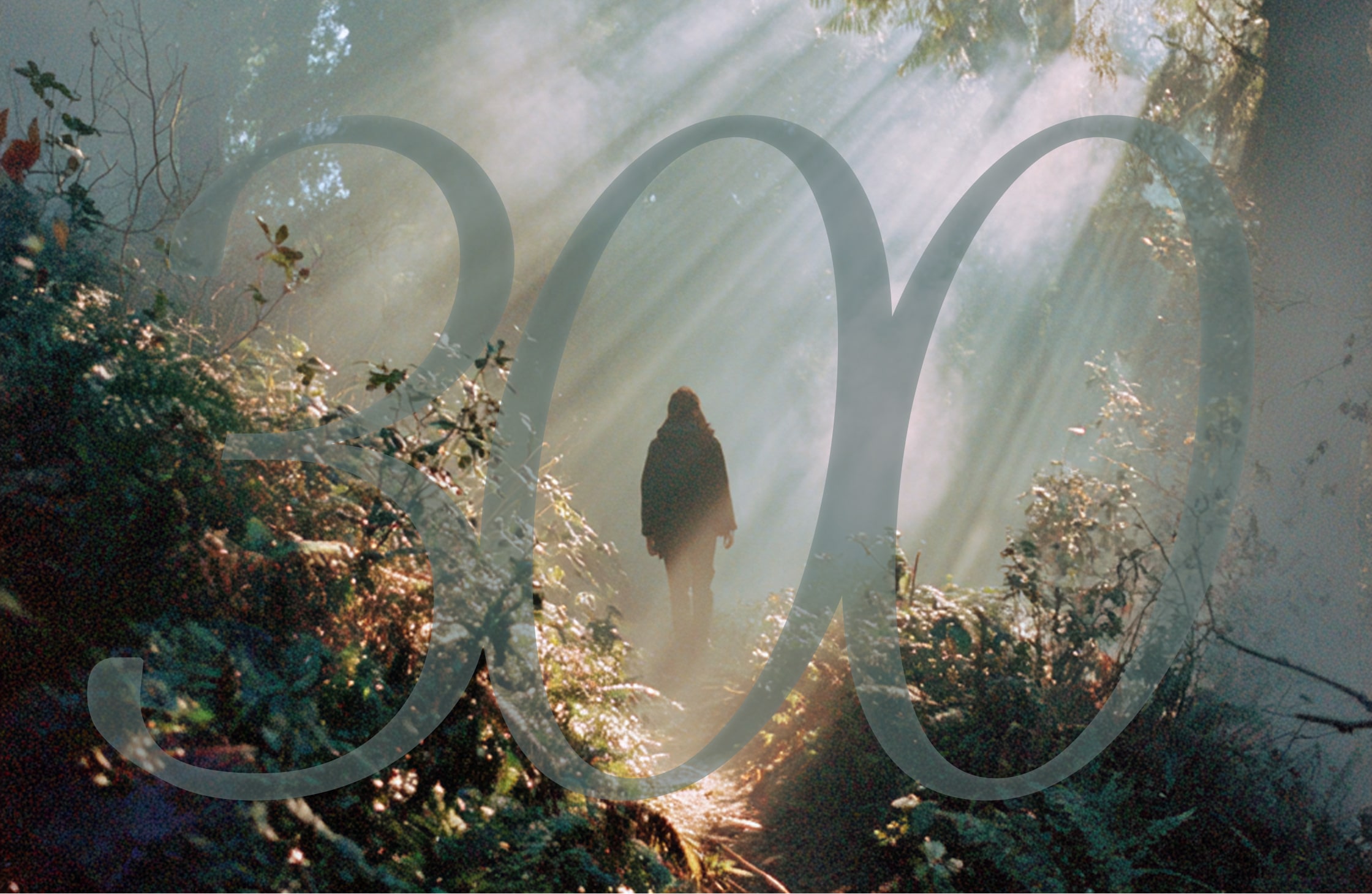 LeaderFactor Accountability leadership skill - Turn Scars into Systems