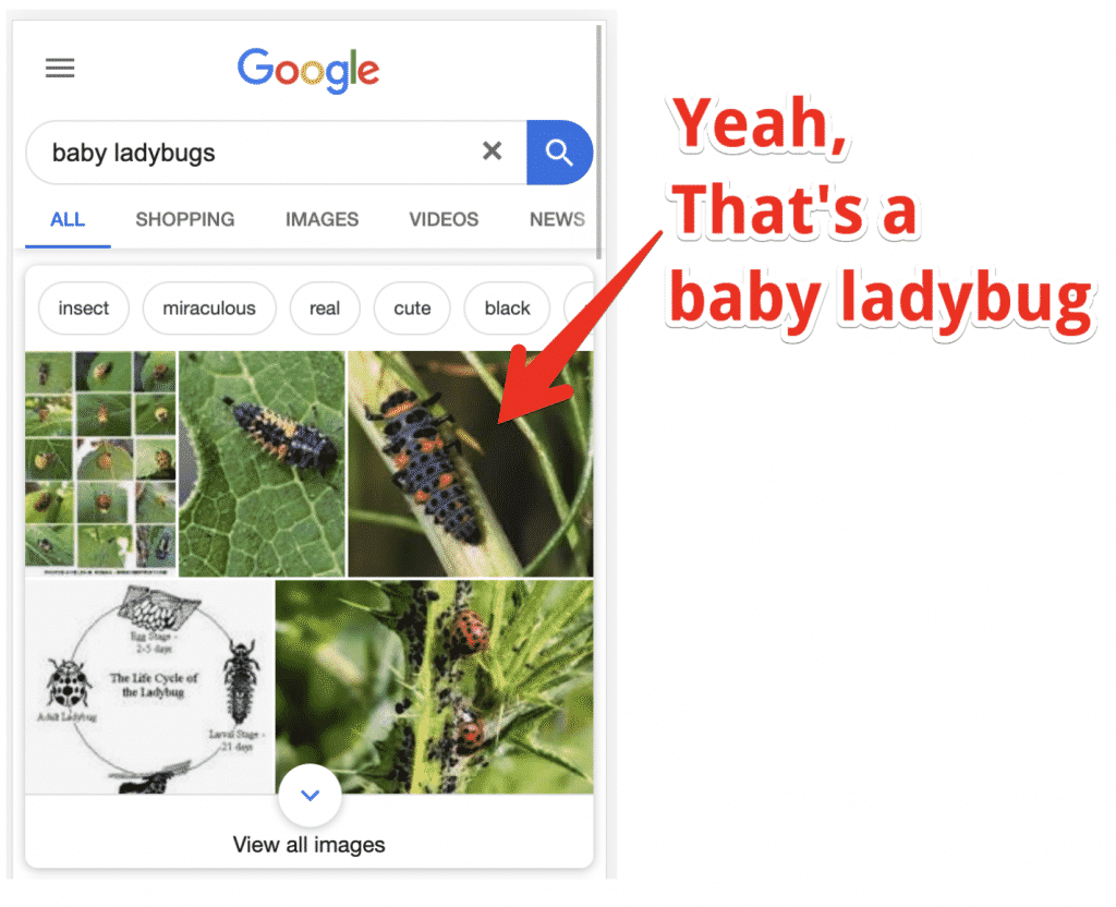 Serp Feature Image Pack