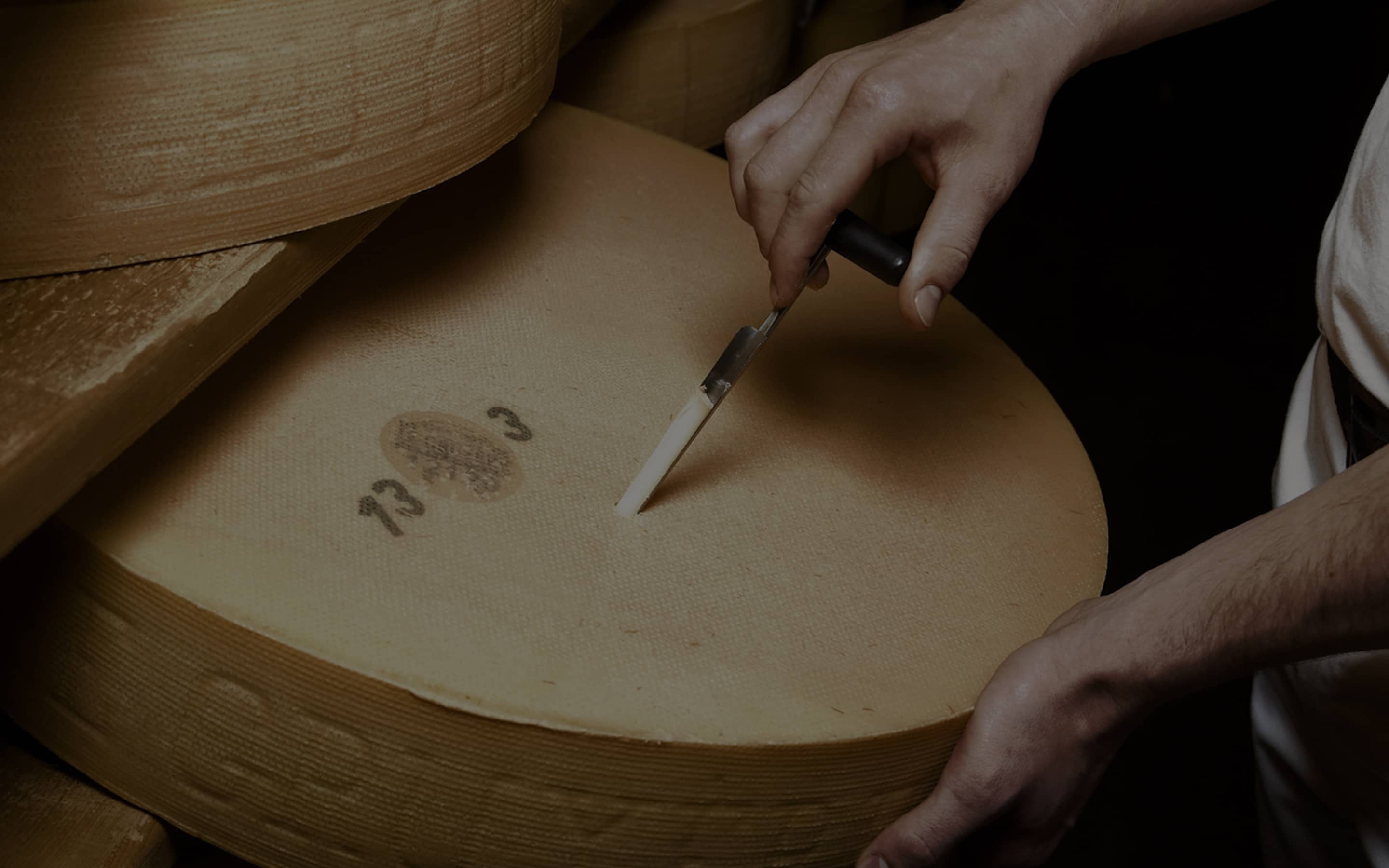 Une personne incise une grande meule de fromage avec un outil de test.