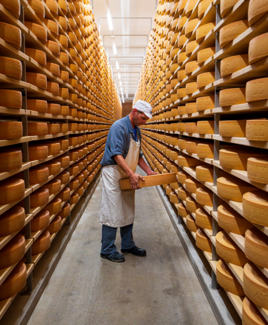 Un homme en tenue de travail soulève une meule de fromage parmi de nombreuses meules rangées sur des étagères dans une cave à fromage.