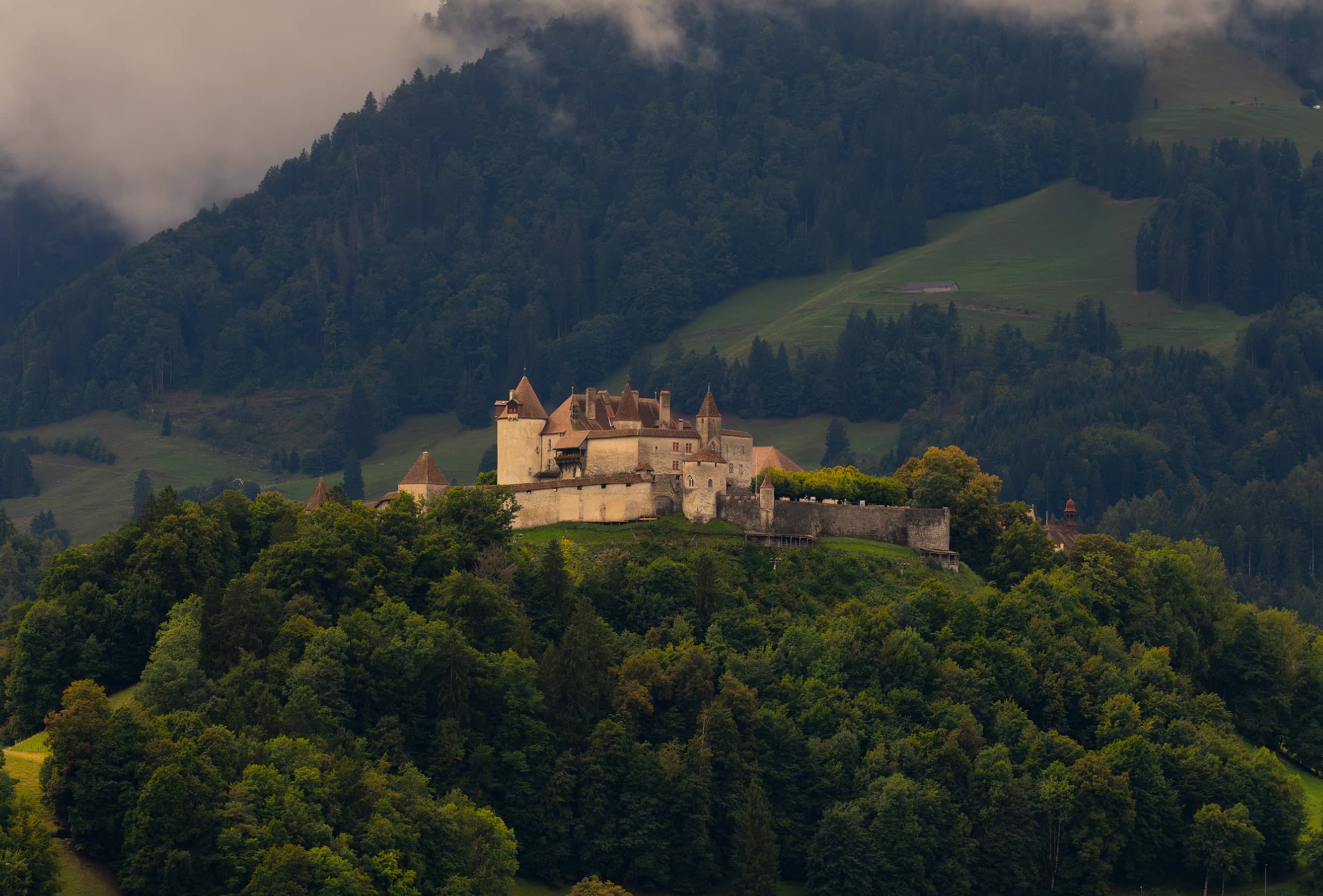 Un château médiéval perché sur une colline boisée avec une montagne brumeuse en arrière-plan.