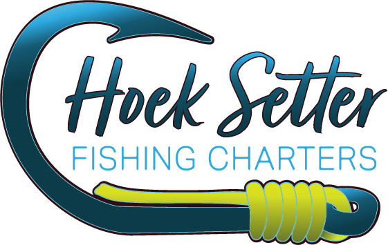 Logo featuring a large blue fishing hook with lime green wrapping and the text 'Hoek Setter Fishing Charters'.