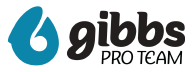 Gibbs Pro Team logo with blue abstract droplet symbol and black text.