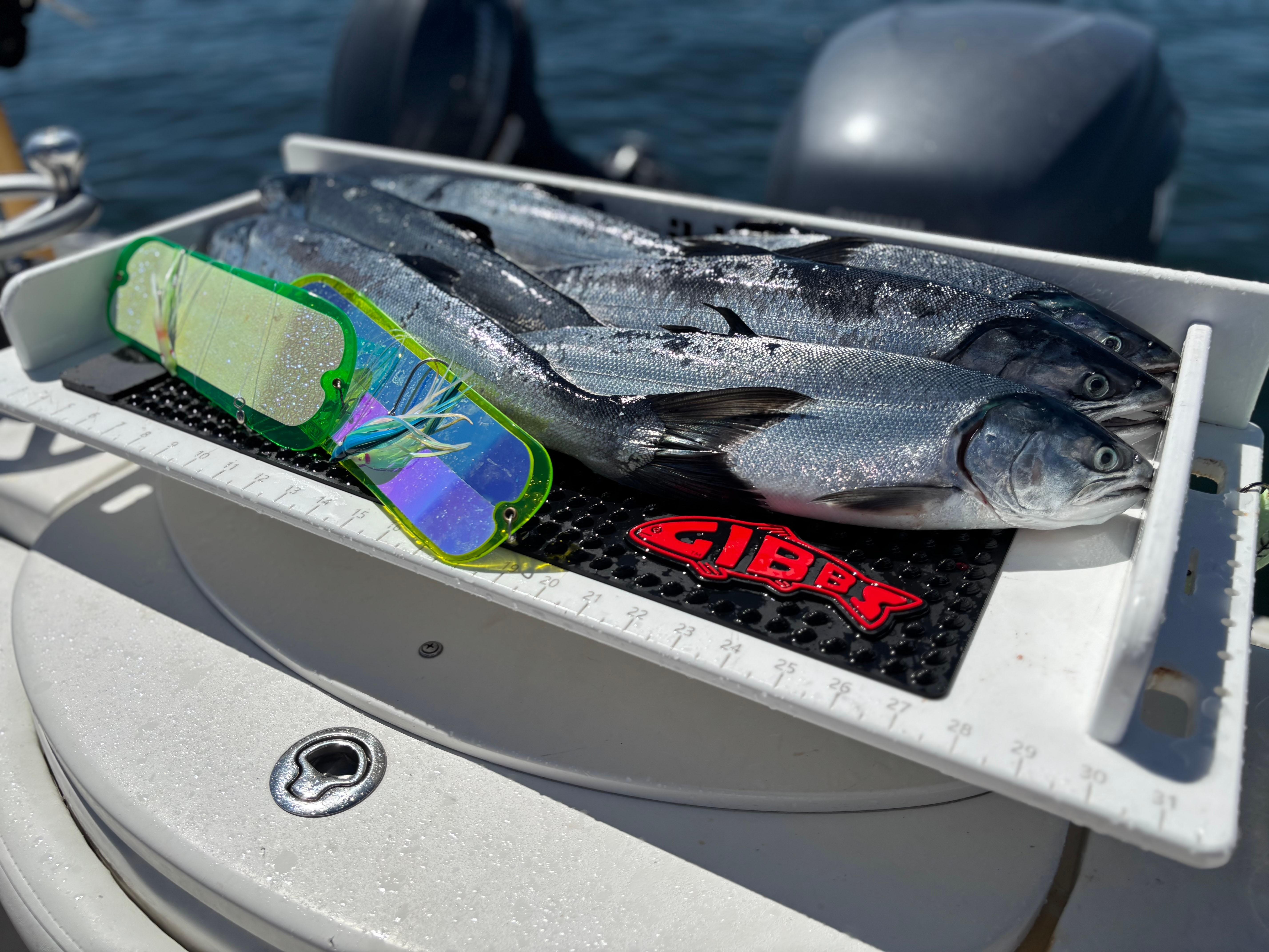 Three freshly caught silver fish laid on a measuring tray with fishing lures, set on a boat's surface with water in the background.