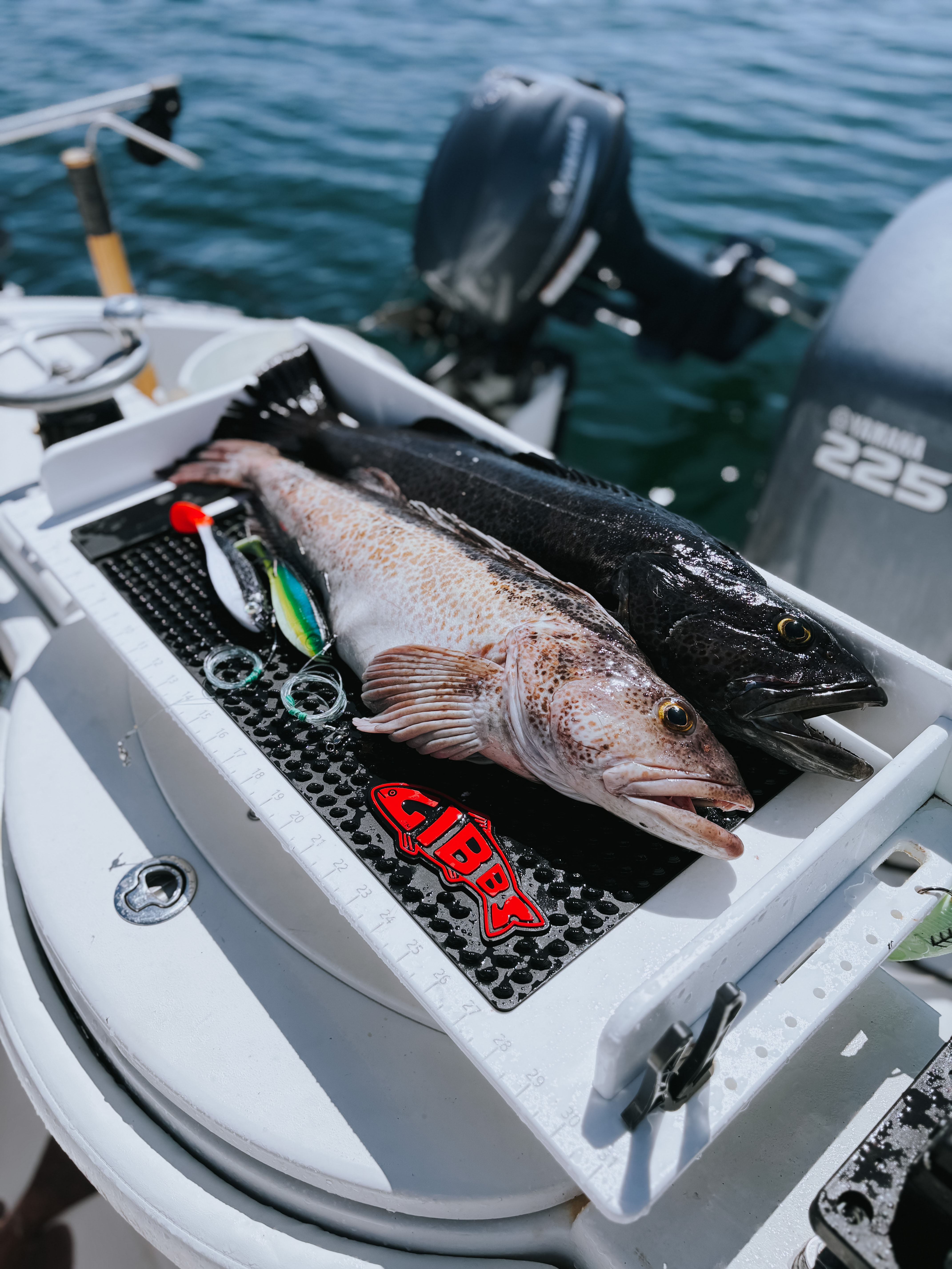 Two freshly caught fish laid out on a boat's measuring board with fishing lures nearby and water in the background.