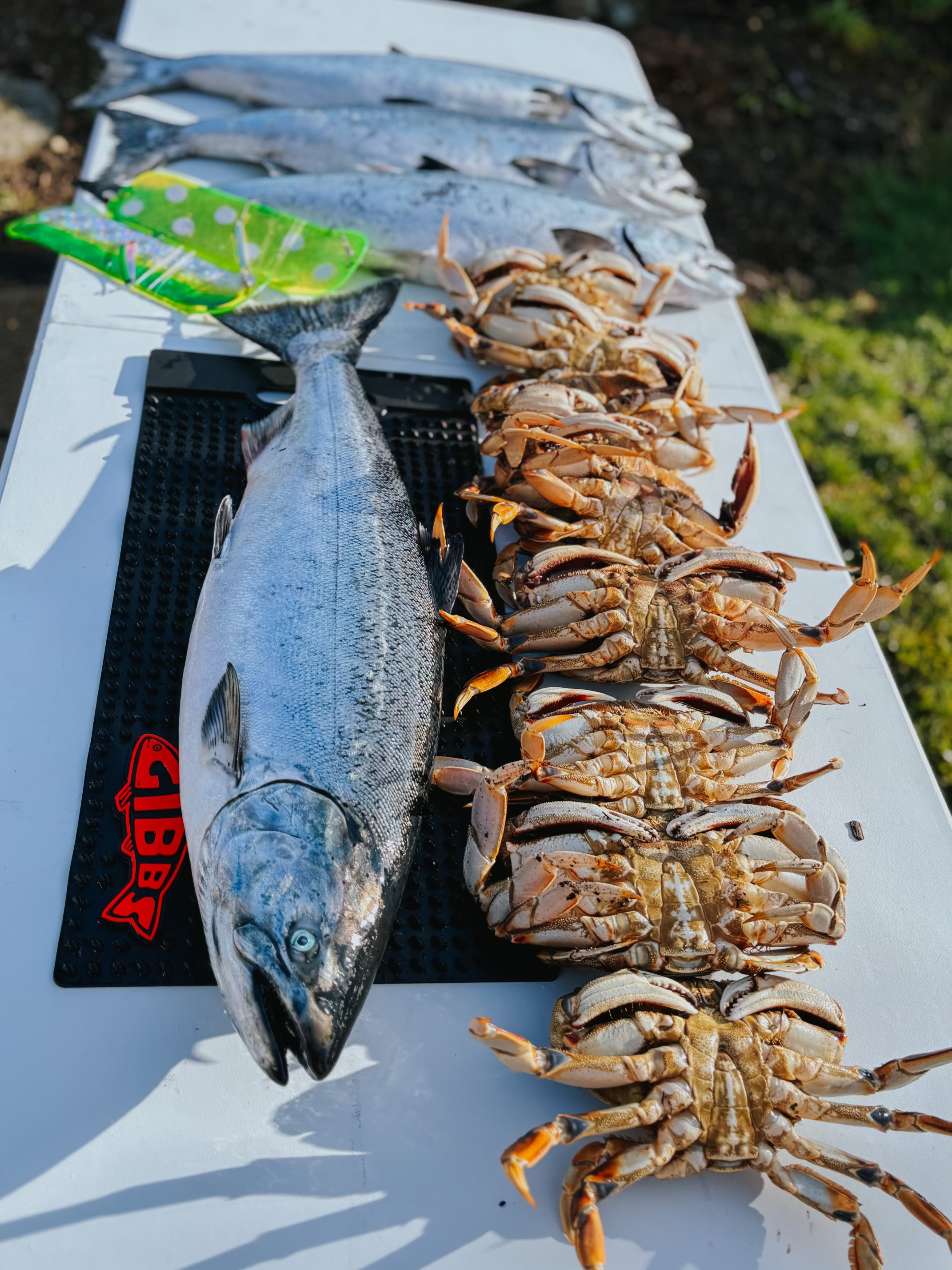 Freshly caught large fish, several smaller fish, and a row of crabs laid out on a white table outdoors.