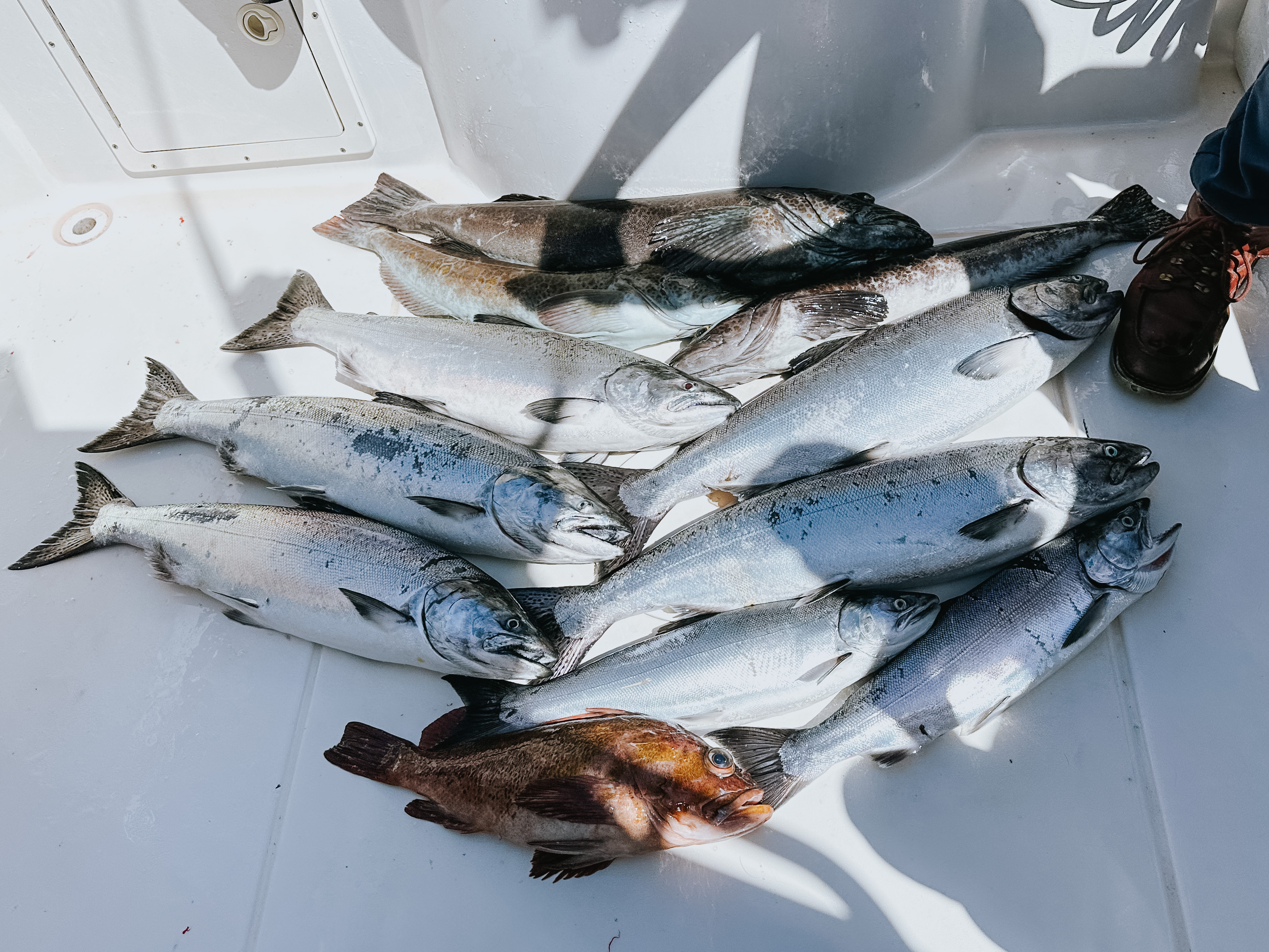 A pile of various caught fish including silver and brown fish on a white boat floor with a person's foot in a brown boot visible on the right.