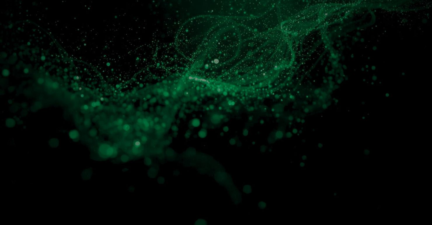 CMS Details Hero Image