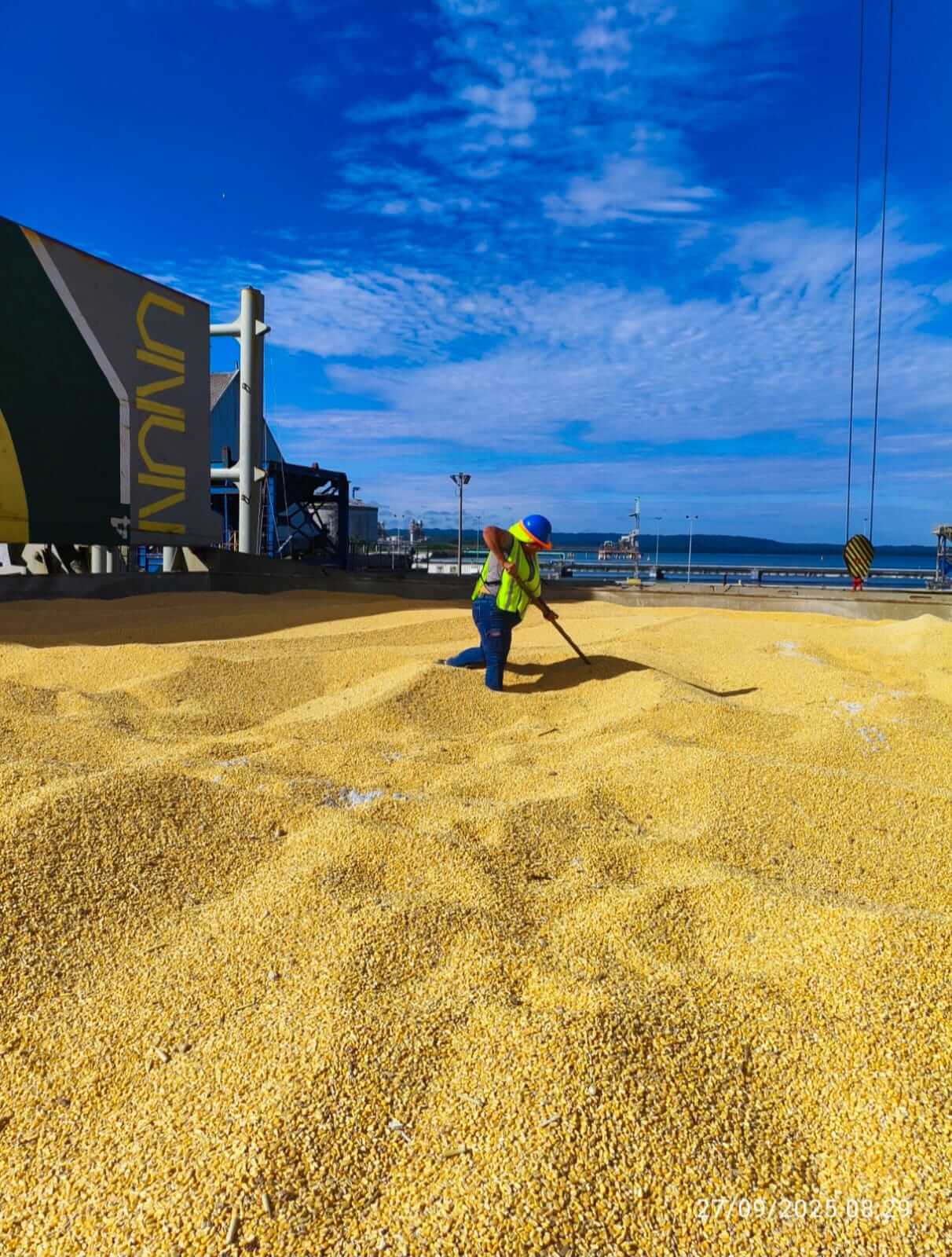 Trabajador manejando maíz a granel en terminal marítima DEPSA Panamá