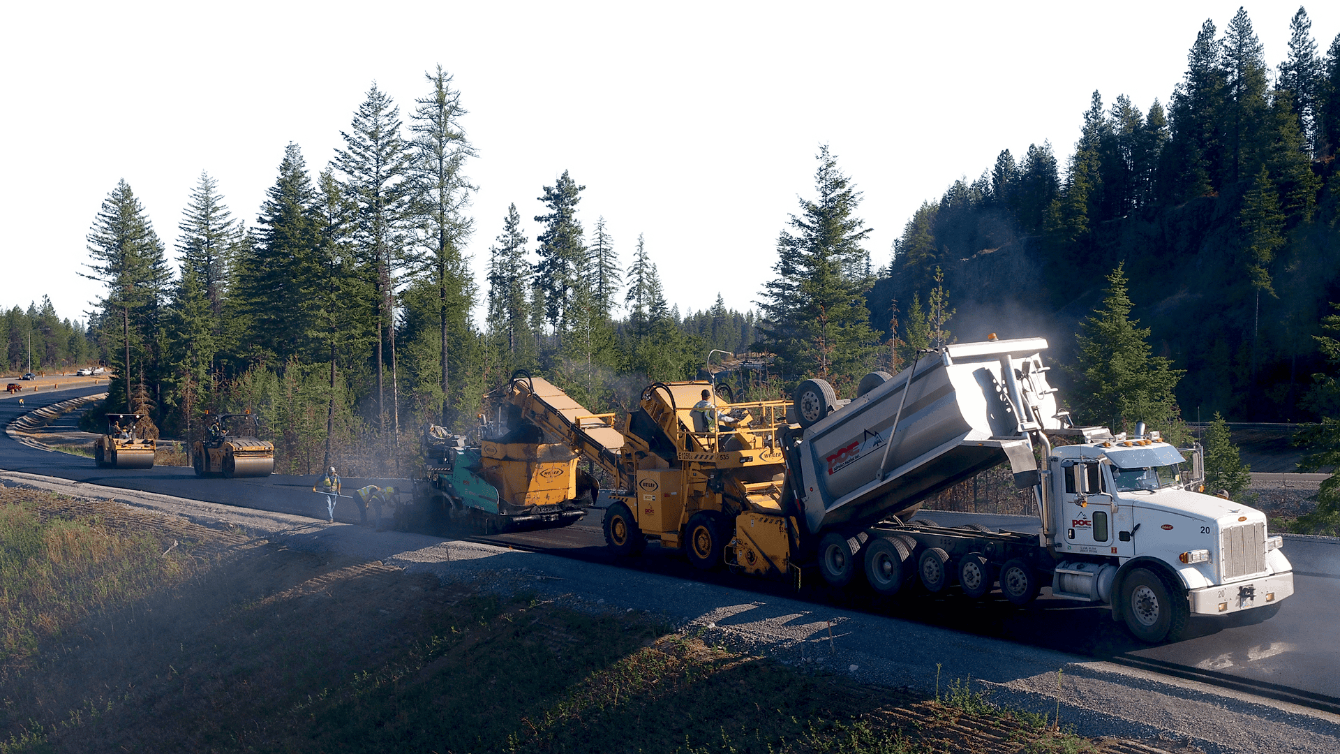 Construction crew paving a road with heavy machinery surrounded by dense pine trees in sunlight.