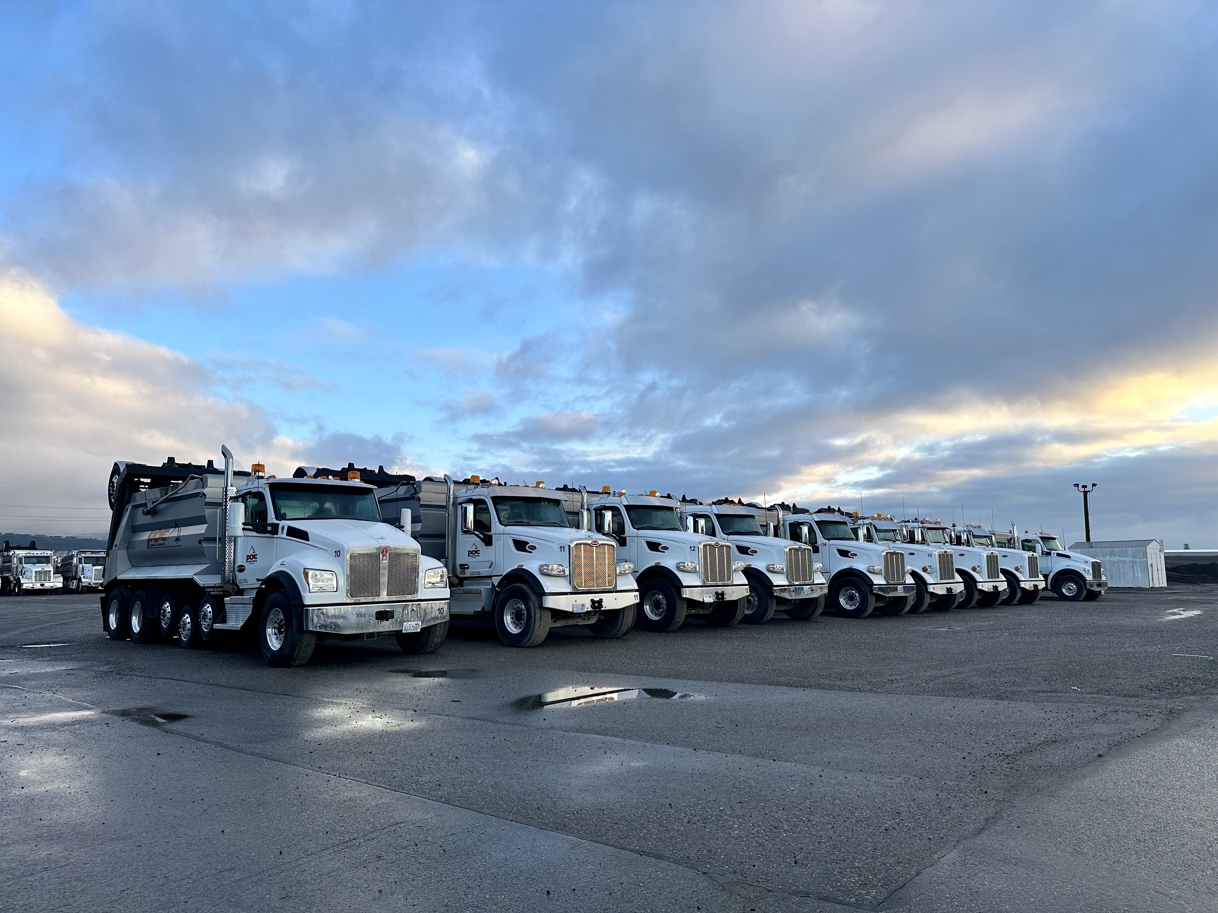 Line of white dump trucks parked on wet pavement under a cloudy sky at dusk.