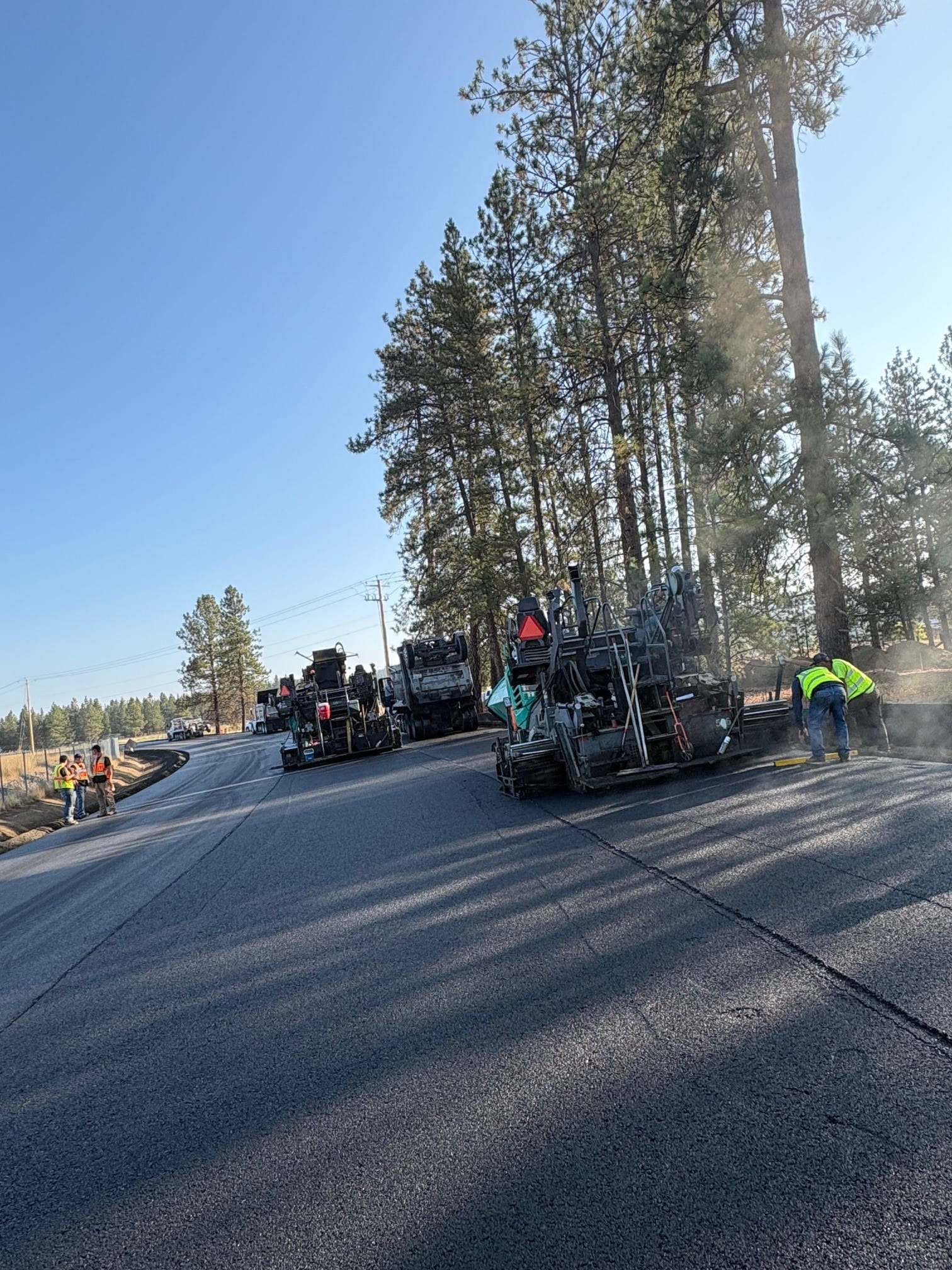 Workers in safety vests paving a road with large machinery surrounded by tall pine trees under clear sky.