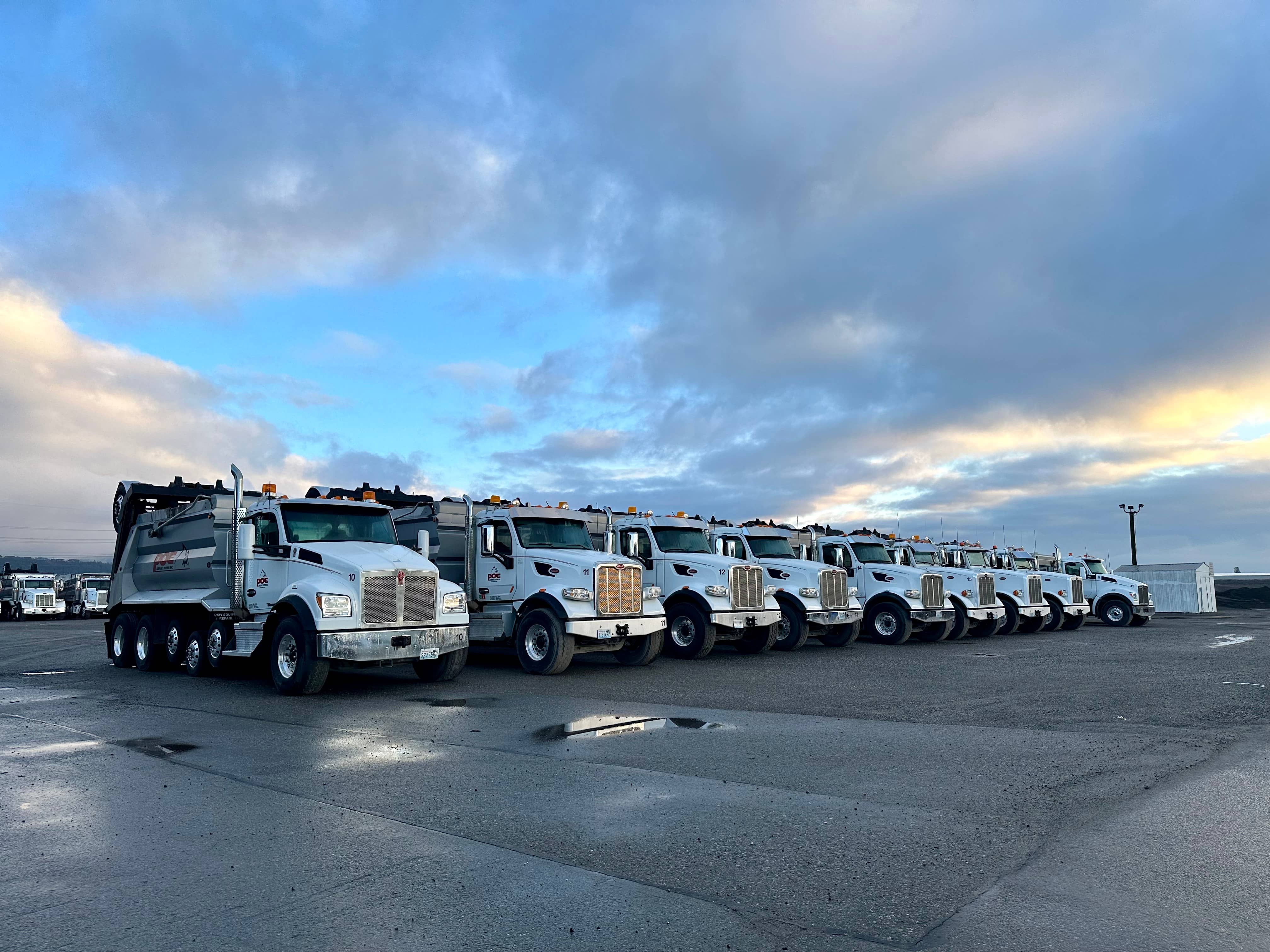 Line of white dump trucks parked on wet pavement under a cloudy sky at sunset.
